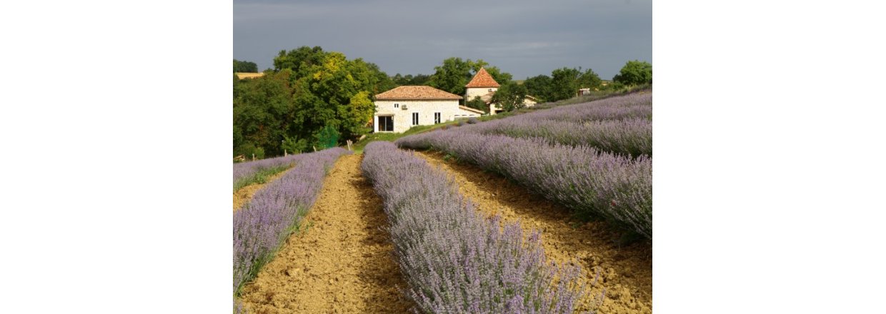 Laboratoire Altho, Monfort France