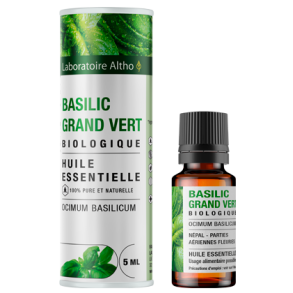 kologisk Stor Basilikum terisk olie - 5 ml.