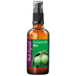kologisk Tamanu Jomfruolie - 100 ml.